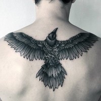 Herrliches Designer schwarzes  detailliertes Adler Tattoo am oberen Rücken