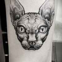 Gorgeous dot style thigh tattoo of sphinx cat head