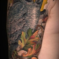 Tatuaje colorido en el brazo,
 lechuza espléndida en la rama con hojas y bellotas