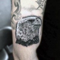 Tatuaje en el brazo,
 rostro de águila atenta estupenda