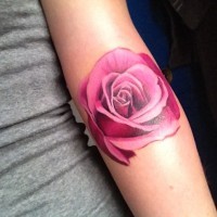 meravigliosa molto realistica rosa colore rosa tatuaggio su braccio