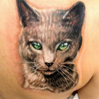Tatuaje en el hombro, gato azul con ojos verdes
