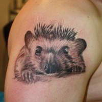 Gray ink hedgehog head tattoo on upper arm