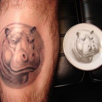 Tatuaje en la pierna,
retrato de hipopótamo increíble