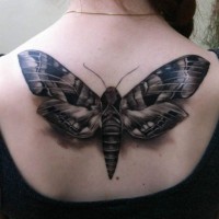 Gray ink moth tattoo on girl upperback in 3D style