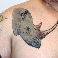 Tatuaje en el hombro,
cabeza de rinoceronte de perfil