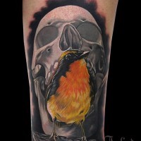 Gray skull with yellow bird tattoo