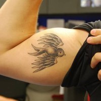 Tatuaggio sul braccio l'uccellino grigio