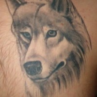 Graues Tattoo mit traurigem Wolf