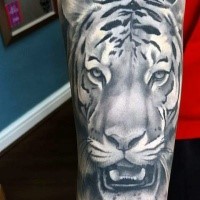 Gray washed black ink shoulder tattoo of tiger head