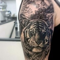 Gray washed style colored shoulder tattoo of tiger and forest