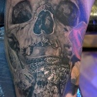 Gray washed style detailed human skull tattoo combined with snake