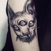 Gray washed style mystical cat face tattoo on shoulder