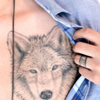 Gray wolf with blue eyes tattoo on chest