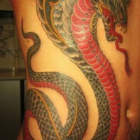 Great  colorful cobra tattoo on side