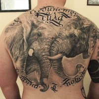 Great beautiful elephants tattoo on back