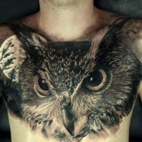 Great beautiful owl tattoo on whole chest