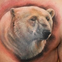 Tatuaje en la espalda,
cabeza de oso polar gracioso