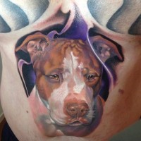 Tatuaggio pittoresco il cane colorato