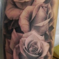 Great black and gray roses tattoo