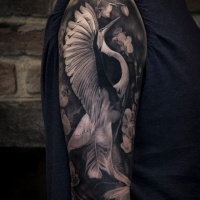Great black and white heron tattoo on shoulder