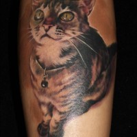 Tatuaggio bellissimo sulla gamba il gatto carino