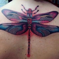 Großartige bunte Libelle am Rücken
