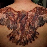 Great colorful flying eagle tattoo on upper back