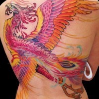 Great colorful phoenix tattoo on back
