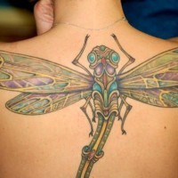 Great coloured dragonfly tattoo on back for girls