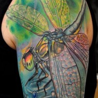 Großartiges farbiges realistisches Libelle-Tattoo an der Schulter
