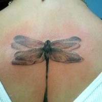 Tatuaje en la espalda, libélula gris