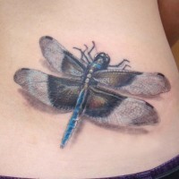 Tatuaje en las costillas, libélula realista con alas lindas