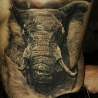 Großartiger realistischer Elefant Tattoo an Rippen