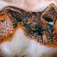 Tatuaggio colorato sul petto la civetta che vola