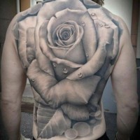 Tatuaggio grande su tutta la schiena la rosa con la rugiada