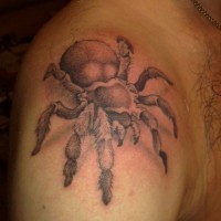Great realistic spider tattoo
