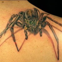 Great realistic spider tattoo on shoulder blade