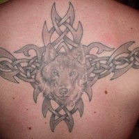 Great tattoo of a wolf on his back
