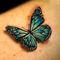 Tatuaggio colorato 3D la farfalla blu verde