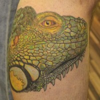 Green iguana head tattoo