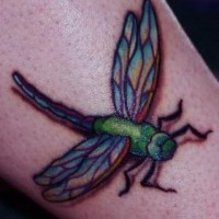 Green dragonfly tattoo
