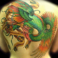 Green phoenix tattoo on whole back