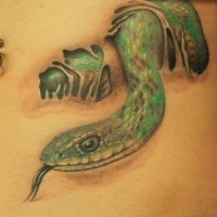 Green snake crawls out of skin tattoo