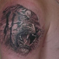 Grinning tiger head tattoo on shoulder