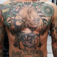 Tatuaje en el pecho y estómago, leona gruñe  y inscripcion