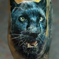 Head black panther tattoo on leg