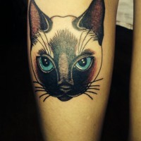 Siamese cat impressive coloured tattoo