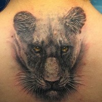 Head of a lioness tattoo on back