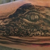 Head of alligator forearm tattoo